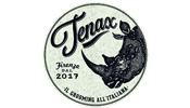 Tenax Pomade